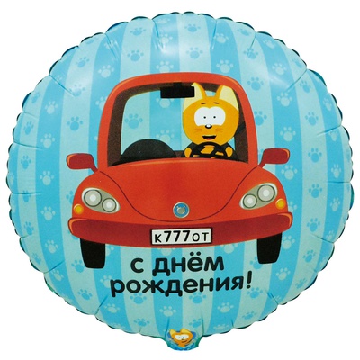 К 18" РУС ДР Котэ в машине