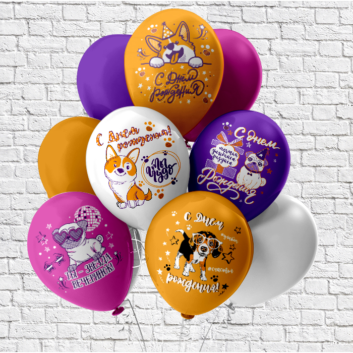 Шар12'' шелк рис. 2ст. 2цв. С днем рождения! Собачки 5 дизайнов (25 шт./уп.) /БК
