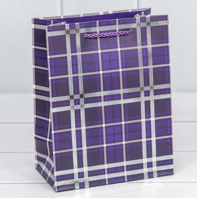 Пакет подарочный с тиснением "Клетки"   18*23*10 см, Фиолетовый