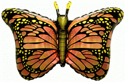 FM Шар (38''/97 см) Фигура, Бабочка-монарх, Оранжевый