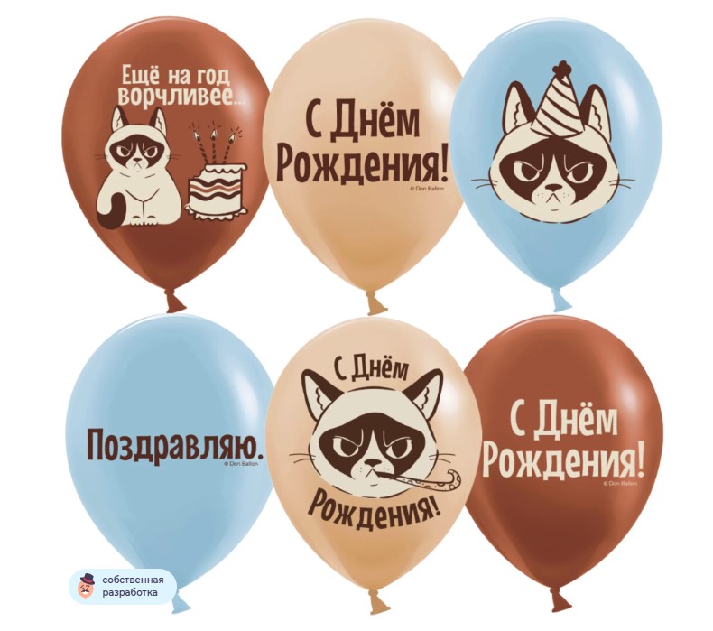 Шар (12''/30 см) С Днем Рождения! (сердитая кошка), Ассорти, пастель, 2 ст, 25 шт.