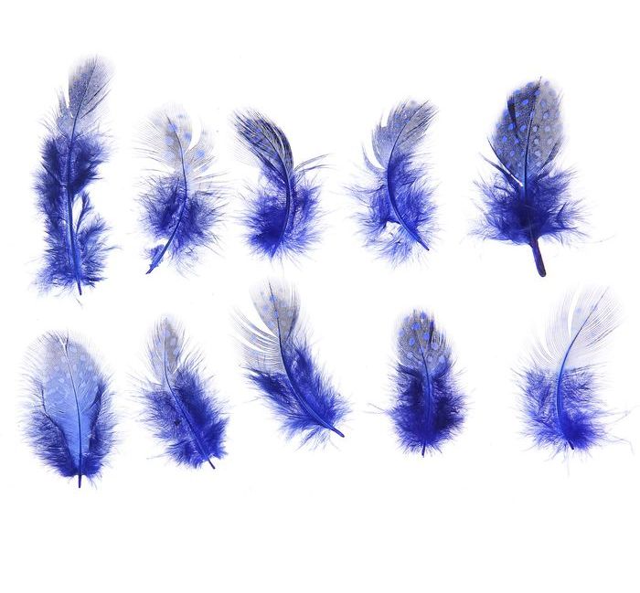 Набор перьев для декора 10 шт, размер 1 шт 5*2 цвет синий с черным