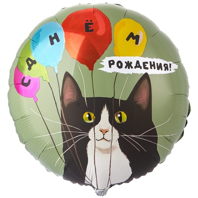К 18" РУС ДР Кот и воздушные шары