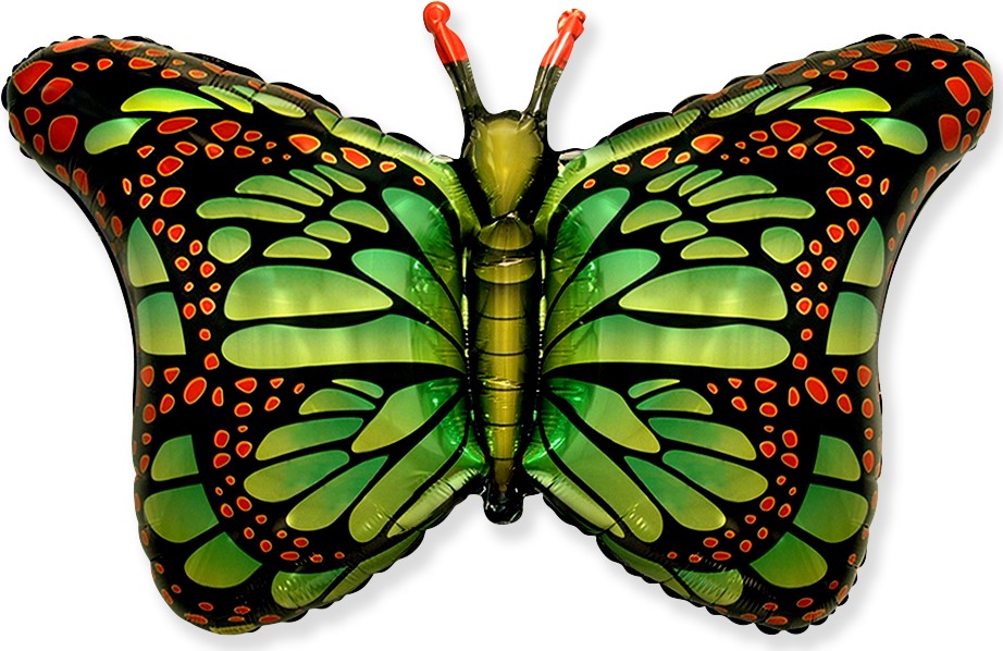 FM Шар (38''/97 см) Фигура, Бабочка-монарх, Зеленый