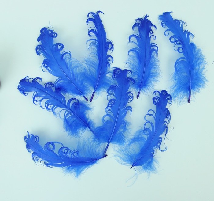 Набор перьев для декора 8 шт, размер 1 шт 13,5*2, цвет синий   3539931