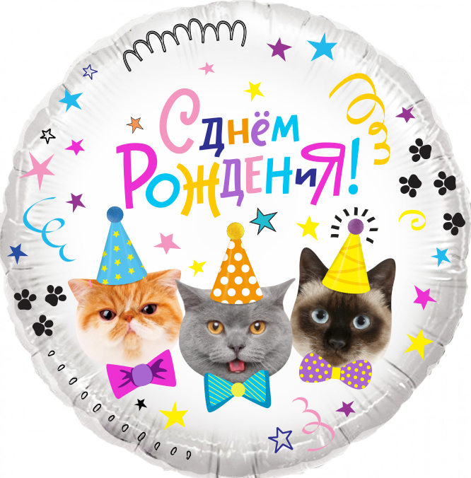Шар (18''/46 см) Круг, Котики, С Днем Рождения!, 1 шт. в упак.